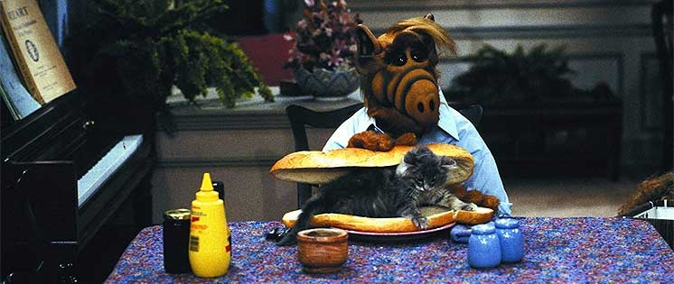 Steht ''Alf'' vor einem TV-Comeback?