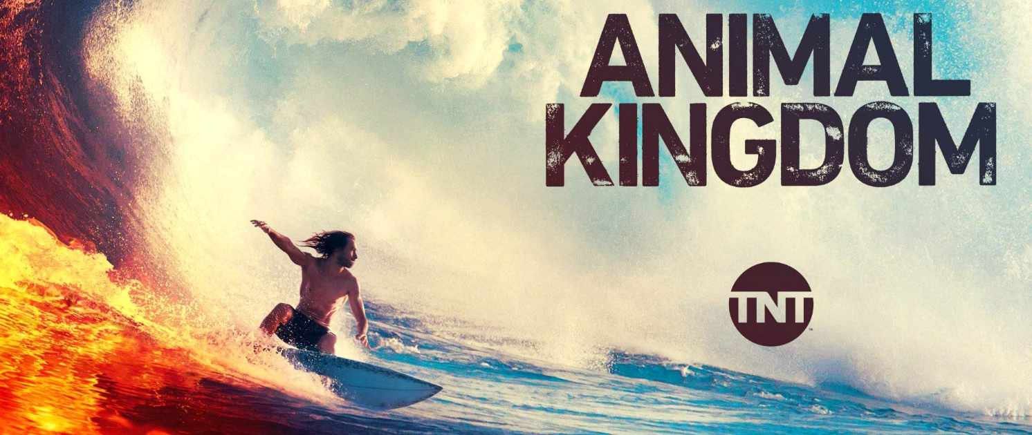 US-Serie „Animal Kingdom“ endet mit Staffel 6