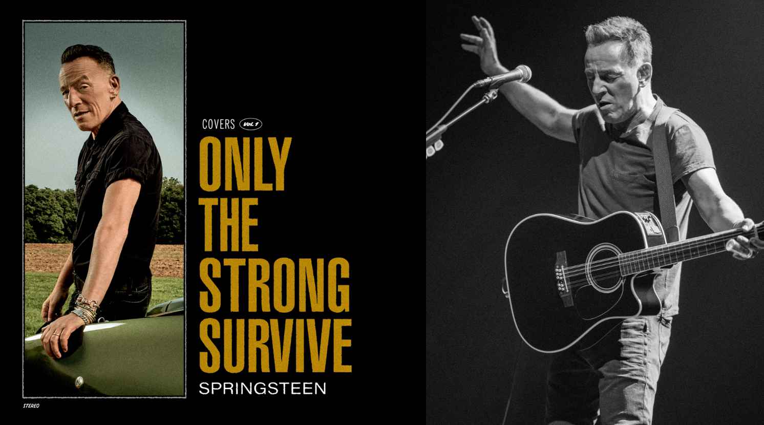 Bruce Springsteen Only The Strong Will Survive