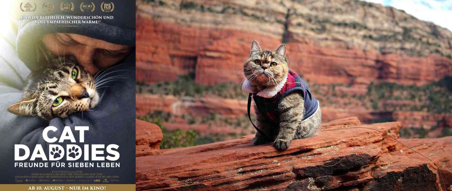 Cat Daddies Filmplakat und Szenenfoto