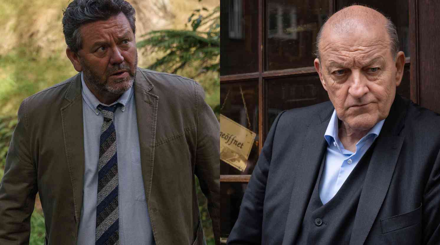 Brokenwood - Wilsberg