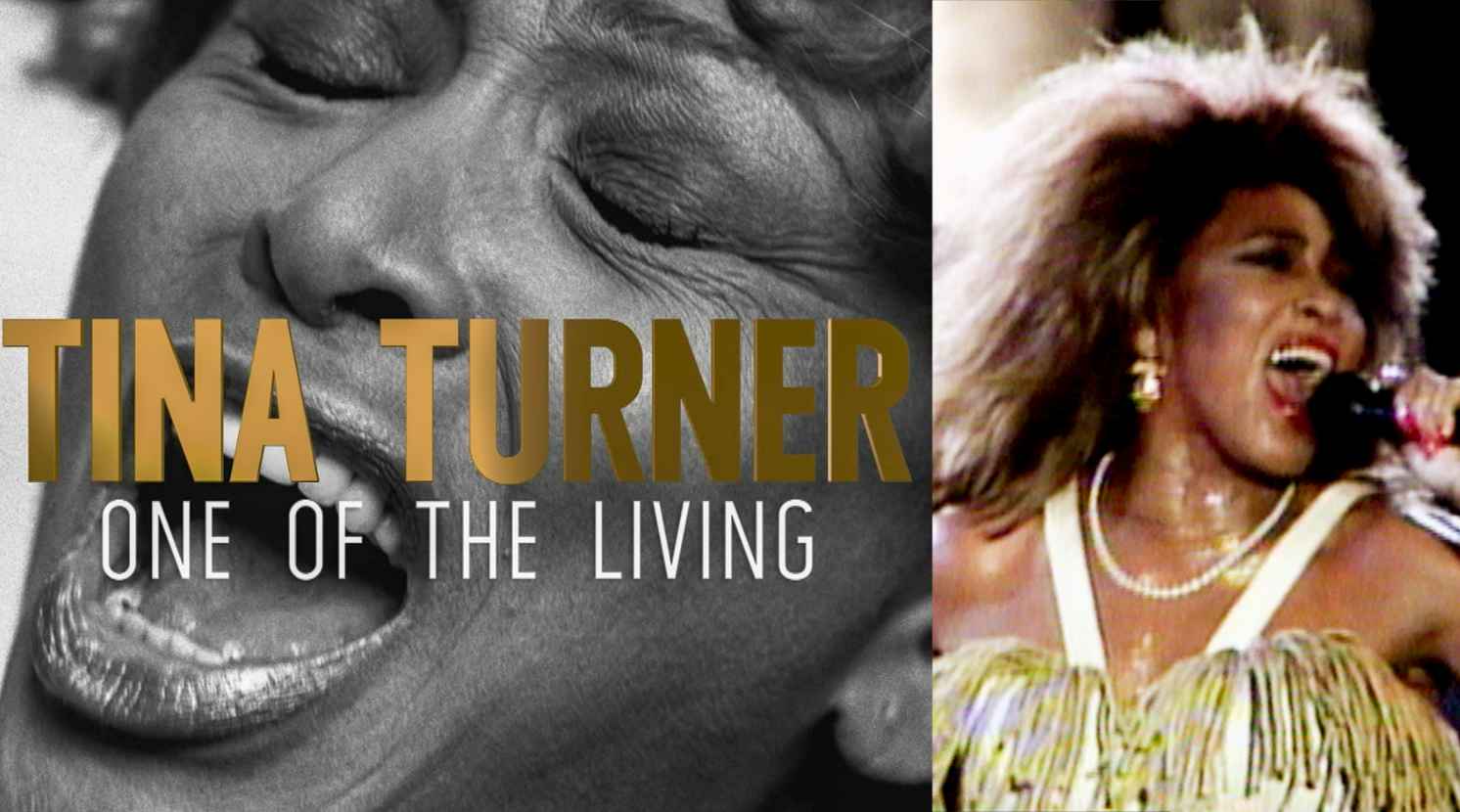 Tina Turner Sendungen bei Arte