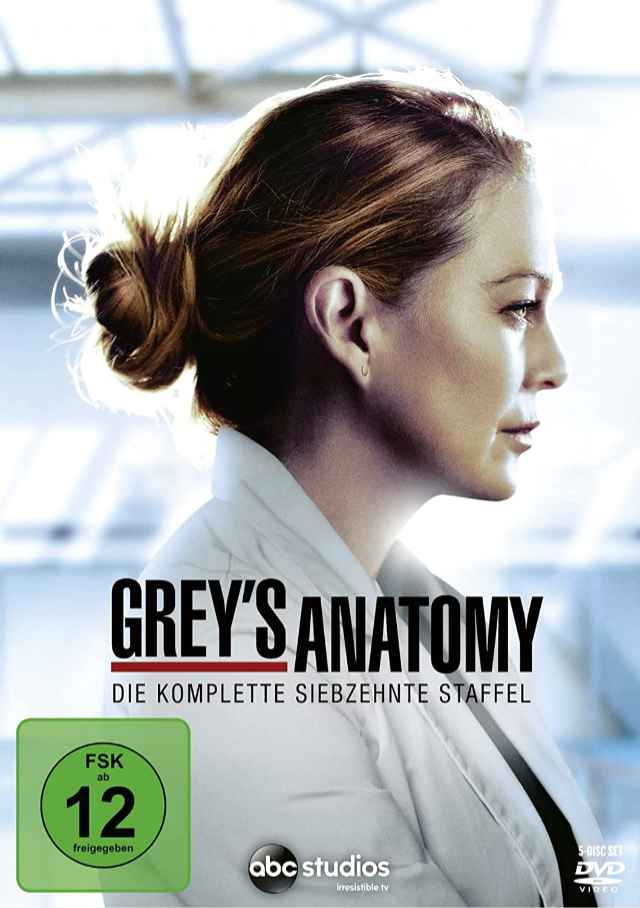 Grey's Anatomy Staffel 17